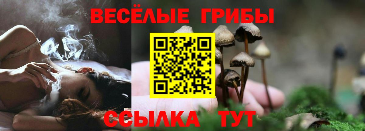 Псилоцибиновые грибы прущие грибы Кировск